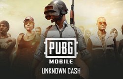 PUBG 24300 UC USA 300 USD