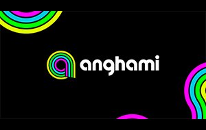 Anghami 12 Months Family Plan