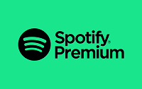 Spotify USA 12 USD